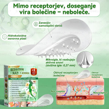 🍀👩‍🔬BSWELL® Nano mikroneedling shujševalni obliž (Samo enkrat na dan, vidne spremembe v 28 dneh)  ✅ Za debelost, zdravje srca in ožilja, sladkorno bolezen, spalno apnejo, zdravje črevesja, težave s sklepi in še več.