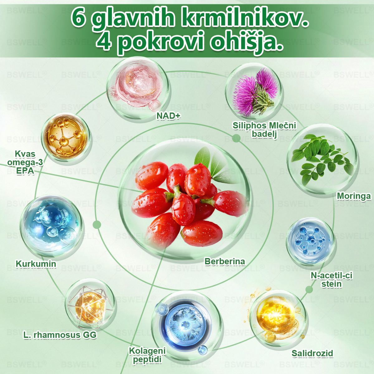 🍀👩‍🔬BSWELL® Nano mikroneedling shujševalni obliž (Samo enkrat na dan, vidne spremembe v 28 dneh)  ✅ Za debelost, zdravje srca in ožilja, sladkorno bolezen, spalno apnejo, zdravje črevesja, težave s sklepi in še več.